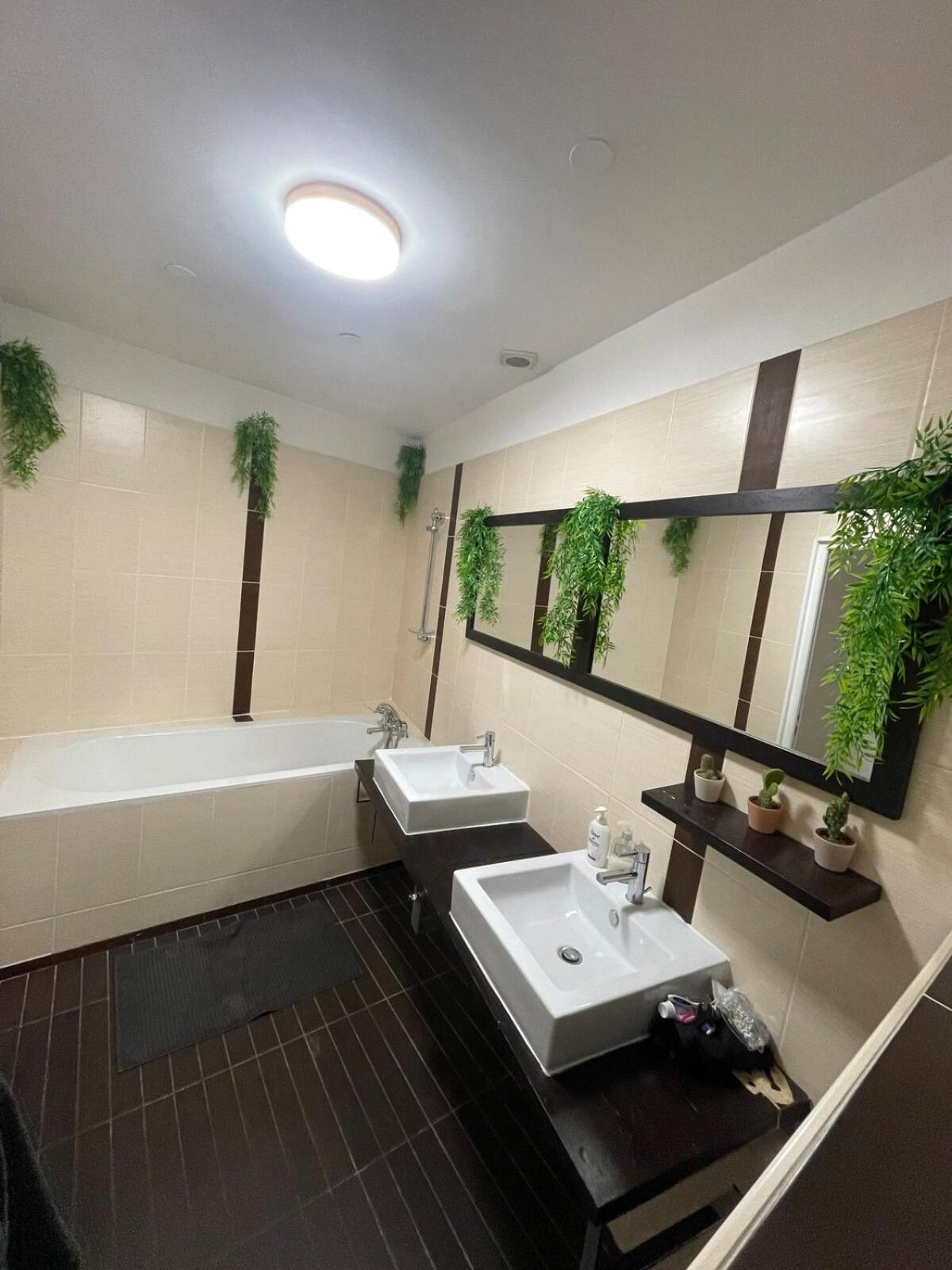 Seemingly Well Placed 100m 2 Appartement